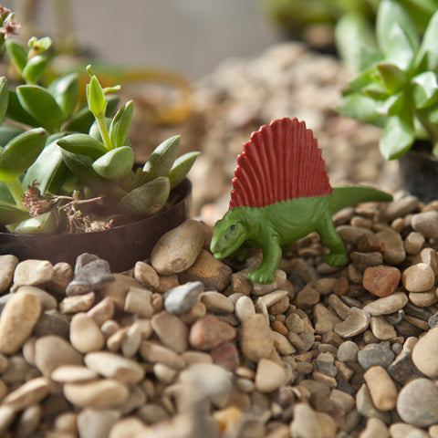 Image of Bring gardening fun indoors Image 3